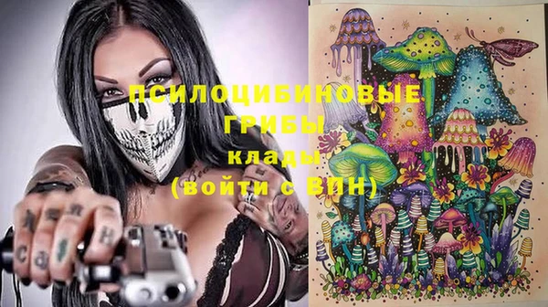 СК Навашино
