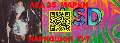 гашик Будённовск