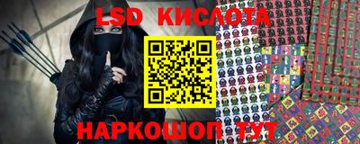 гашик Будённовск