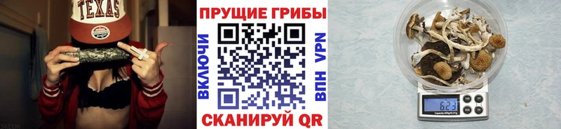 Псилоцибиновые грибы Psilocybe  Качканар 