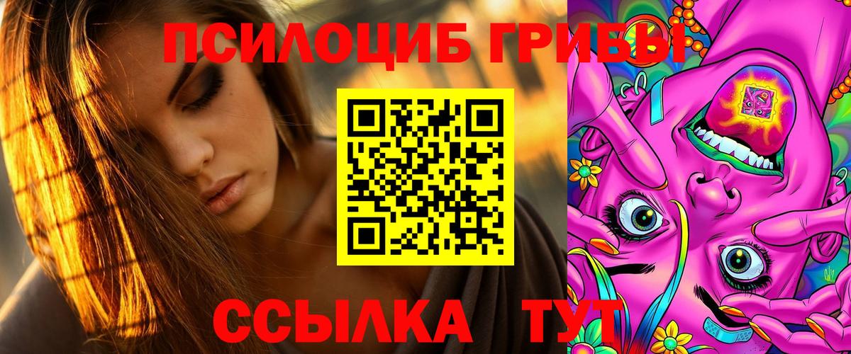 Галлюциногенные грибы Psilocybine cubensis Качканар
